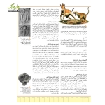 صفحات فرهنگنامه تاریخ ایرانصفحات فرهنگنامه تاریخ ایران (4)