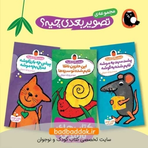 کتاب تصویر بعدی چیه